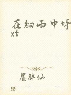 在细雨中呼喊txt