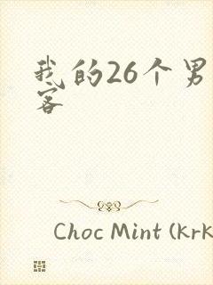 我的26个男房客