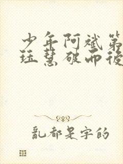 少年阿斌第二部珏慧破而后立封面