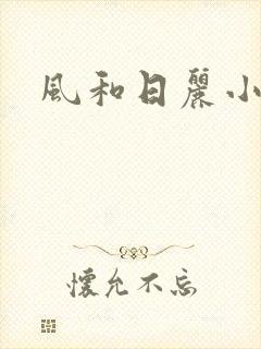 风和日丽小说封面