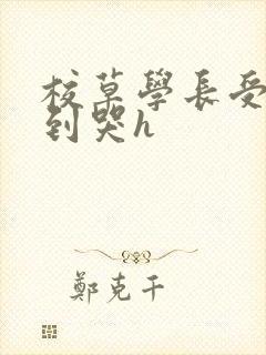 校草学长受被做到哭h