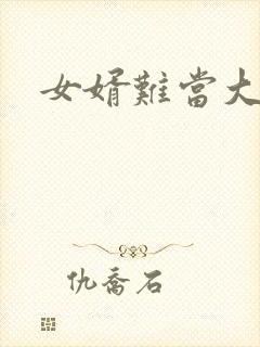 女婿难当大结局