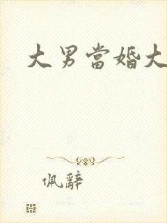大男当婚大结局封面