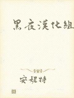 黑夜汉化组