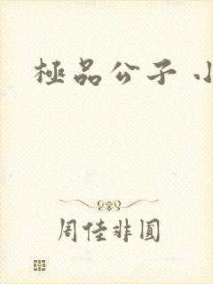 极品公子 小说封面