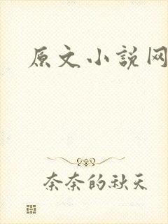 原文小说网