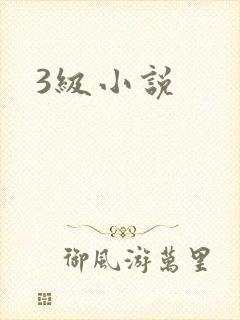 3级小说封面