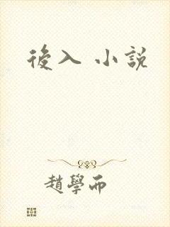 后入 小说