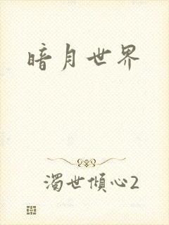 暗月世界