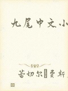 九尾中文小说网
