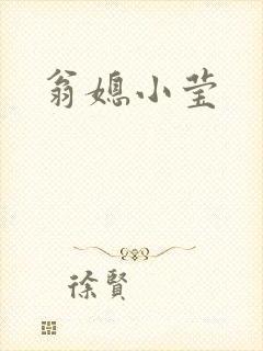 翁媳小莹封面