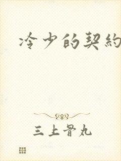 冷少的契约囚奴