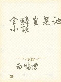 金鳞岂是池中物小说封面