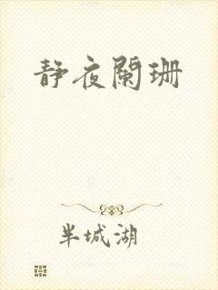 静夜阑珊