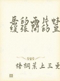 岳的两片蚌肉缓缓张开的豆瓣评分