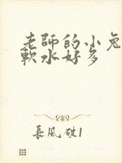 老师的小兔子好软水好多