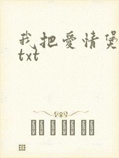 我把爱情煲成汤txt
