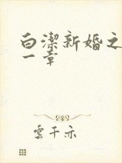 白洁新婚之夜第一章