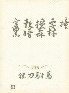 言教授要撞坏了黑暗森林封面