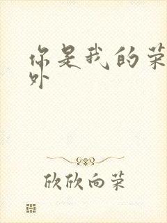 你是我的荣耀番外