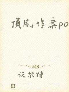 顶风作案po封面