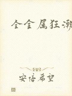 全金属狂潮小说