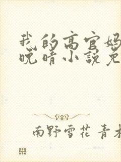 我的高官妈妈苏晚晴小说免费阅读