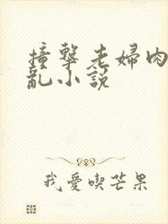 撞击老妇肉体之乱小说封面