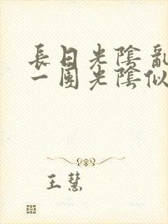 长日光阴 乱作一团光阴似箭封面