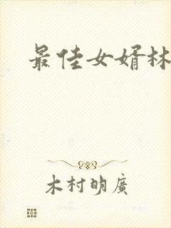 最佳女婿林凡封面