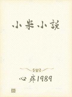 小米小说