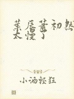 叶辰萧初然更新太慢了