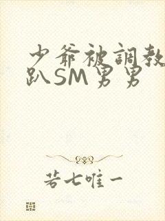 少爷被调教室跪趴SM男男