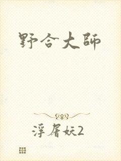 野合大师封面