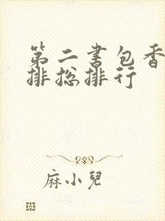 第二书包香辣肉排总排行