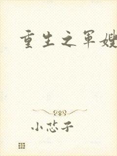 重生之军嫂封面