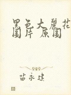 黑色大丽花真实图片 原图