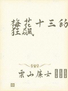 梅花十三的乳液狂飙