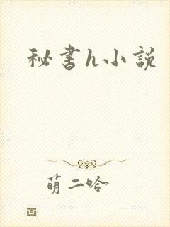 秘书h小说