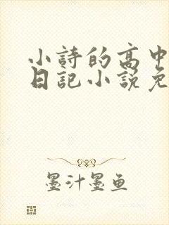 小诗的高中成长日记小说免费阅读