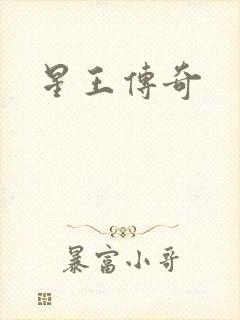 星王传奇