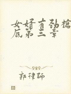 女婿有劲枪枪到底第三章