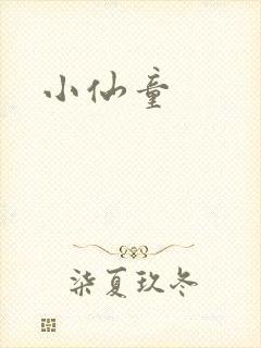 小仙童封面