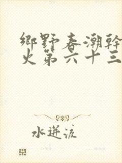 乡野春潮干柴烈火第六十三章封面