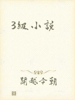3级小说