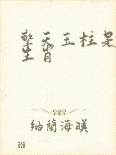 擎天玉柱是什么生肖