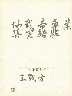 仙武帝尊叶辰全集完结版