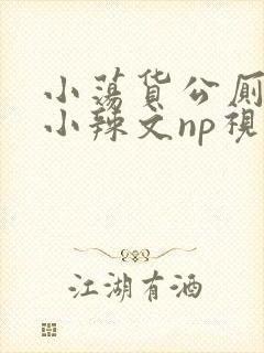 小荡货公厕h文小辣文np视频