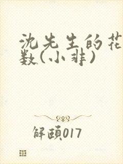 沈先生的花式调数(小非)