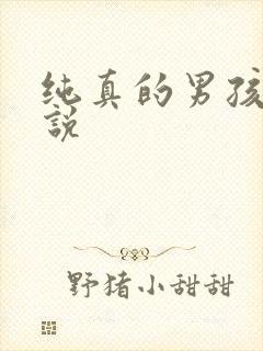 纯真的男孩子小说封面